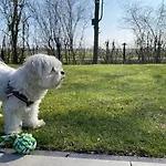 In Bester Lage - Dachterrasse Mit Meerblick - Grosser Eingezaeunter Garten - Kinderfreundlich - Hunde Inklusive - 4 Sterne - Direkt Am - Pool Inklusive Hulshorst