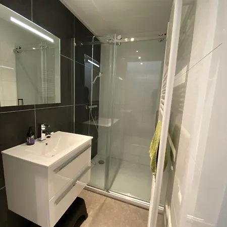 Villa: Beachfront With Sea View Terrace And Pet-friendly Garden Holiday home Hulshorst