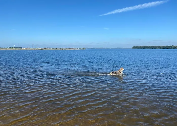 In Bester Lage - Dachterrasse Mit Meerblick - Grosser Eingezaeunter Garten - Kinderfreundlich - Hunde Inklusive - 4 Sterne - Direkt Am - Pool Inklusive Сasa de vacaciones Hulshorst